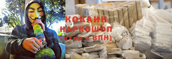 ГАЛЛЮЦИНОГЕННЫЕ ГРИБЫ Алзамай