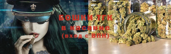 ГАЛЛЮЦИНОГЕННЫЕ ГРИБЫ Алзамай