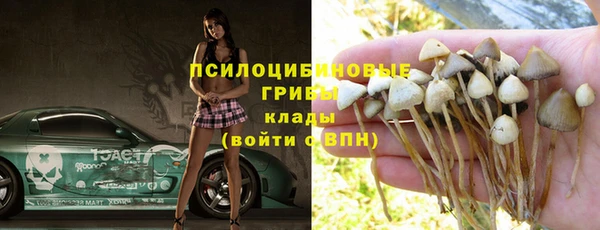 спайс Алексин